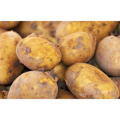 Aardappels. NIEUWE OOGST EIGENHEIMER vd KLEI. Prijs per 3 KILO